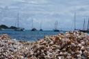 St. Vincent / Grenadines   2015: Cones at the Clifton Harbour Beach  -  Union Island  -  05.10.2015  -  Grenadines